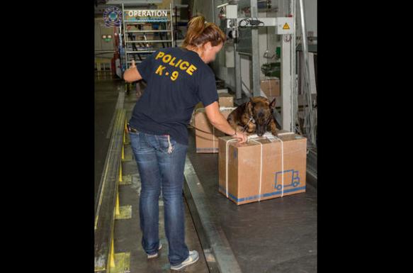 2_sqligallerysliderImage.jpg;pvb98ac39e98b4ed74