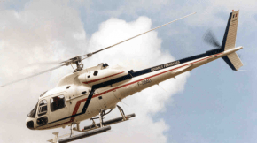 ecureuil_bsam_lamentin