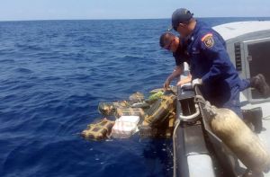 tripulantes-visualizaron-Vigilancia-Aerea