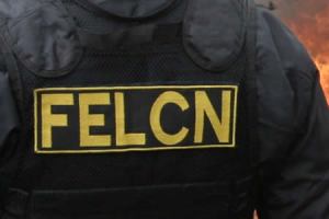 felcn1