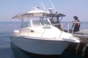 yate sospechosos-Tangara-matricula-P12411