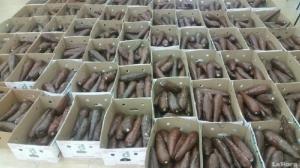 policia-incauta-400-kilos-cocainayuca