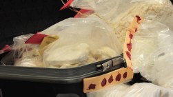 valise-de-cocaine