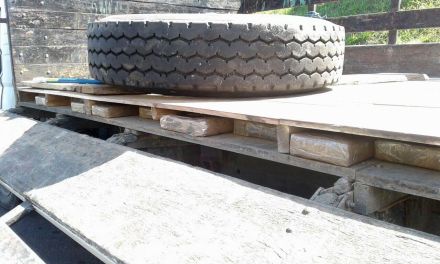 decomiso-cocaina-chofer-rio_segundo